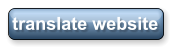 translate website